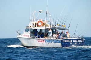 Excellent across the board