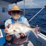 Snapper Fish caught by old man in Winter 2018