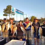 Evans Head Fishing Charters Group